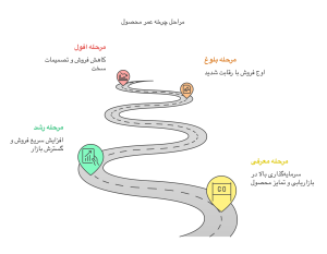 مراحل چرخه عمر محصول